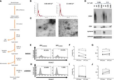 Exposure of Keratinocytes to Candida Albicans in the Context of Atopic Milieu Induces Changes in the Surface Glycosylation Pattern of Small Extracellular Vesicles to Enhance Their Propensity to Interact With Inhibitory Siglec Receptors